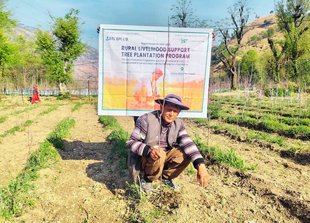 Tree Plantation Initiative