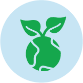 Multi-Functional Performance